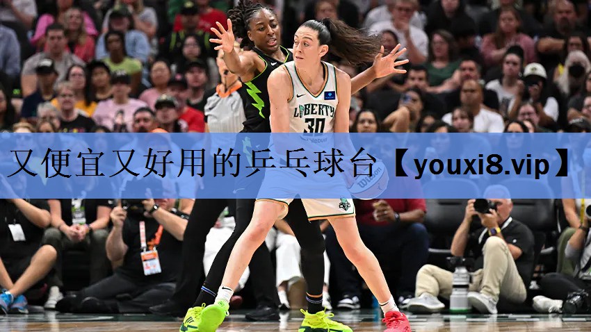 又便宜又好用的乒乓球台