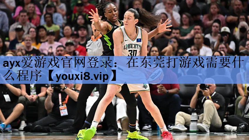 ayx爱游戏官网登录：在东莞打游戏需要什么程序