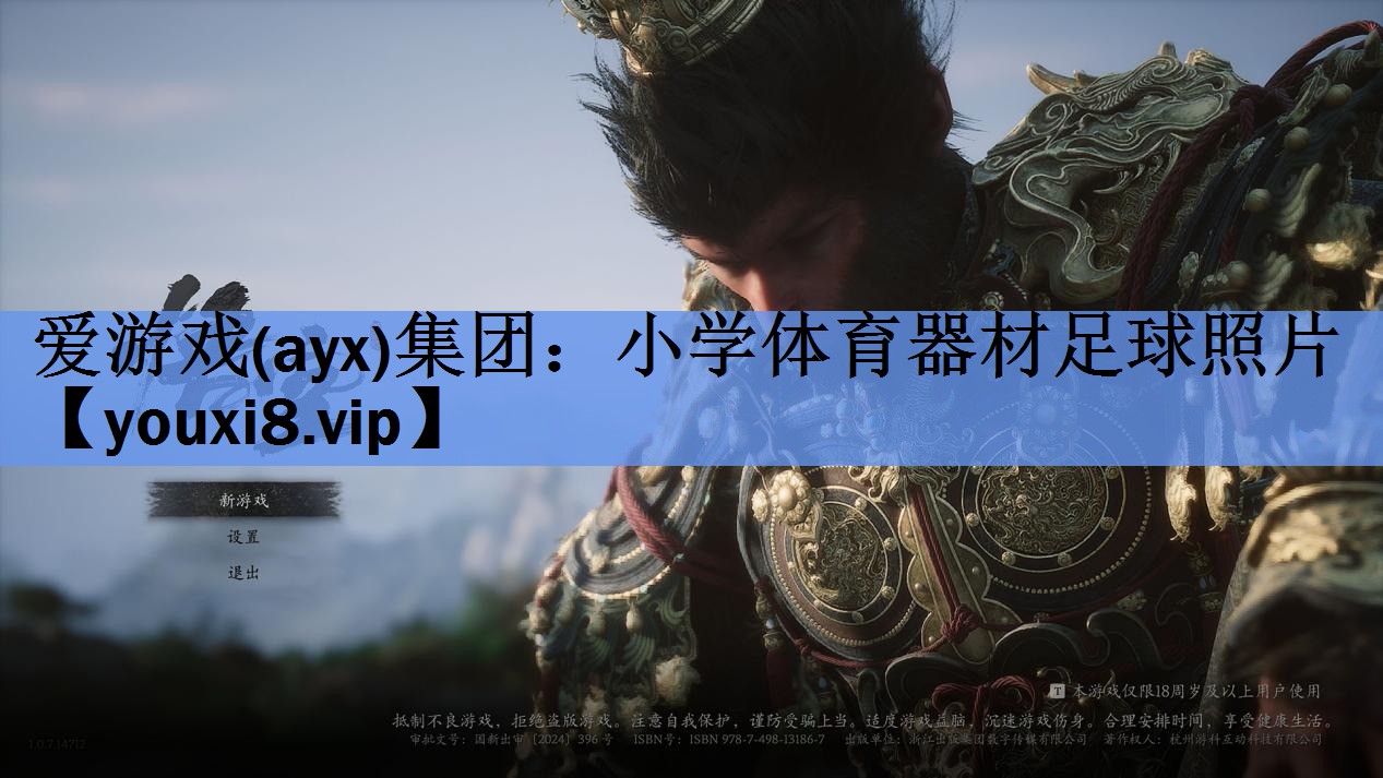 爱游戏(ayx)集团：小学体育器材足球照片
