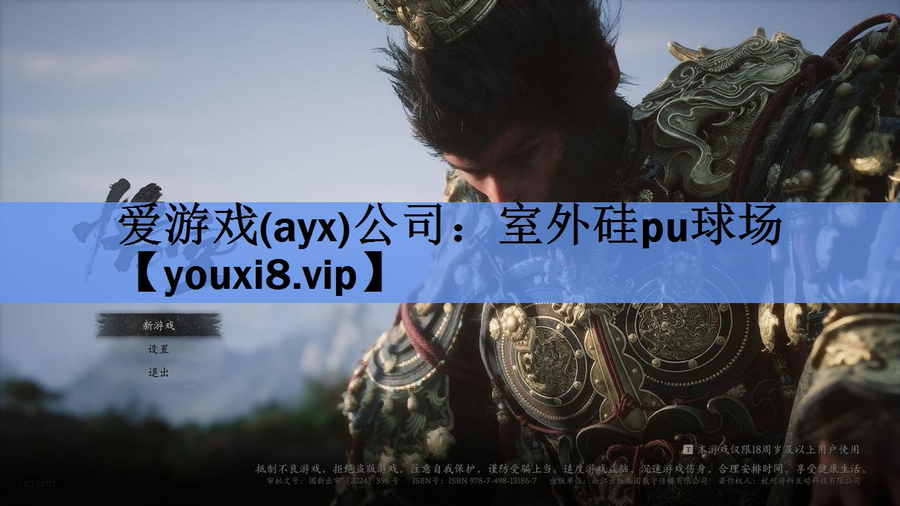 爱游戏(ayx)公司：室外硅pu球场