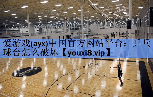 爱游戏(ayx)中国官方网站平台：乒乓球台怎么破坏