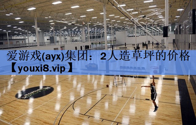 爱游戏(ayx)集团：2人造草坪的价格