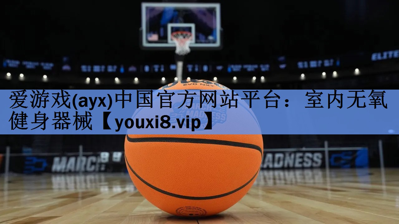 爱游戏(ayx)中国官方网站平台：室内无氧健身器械