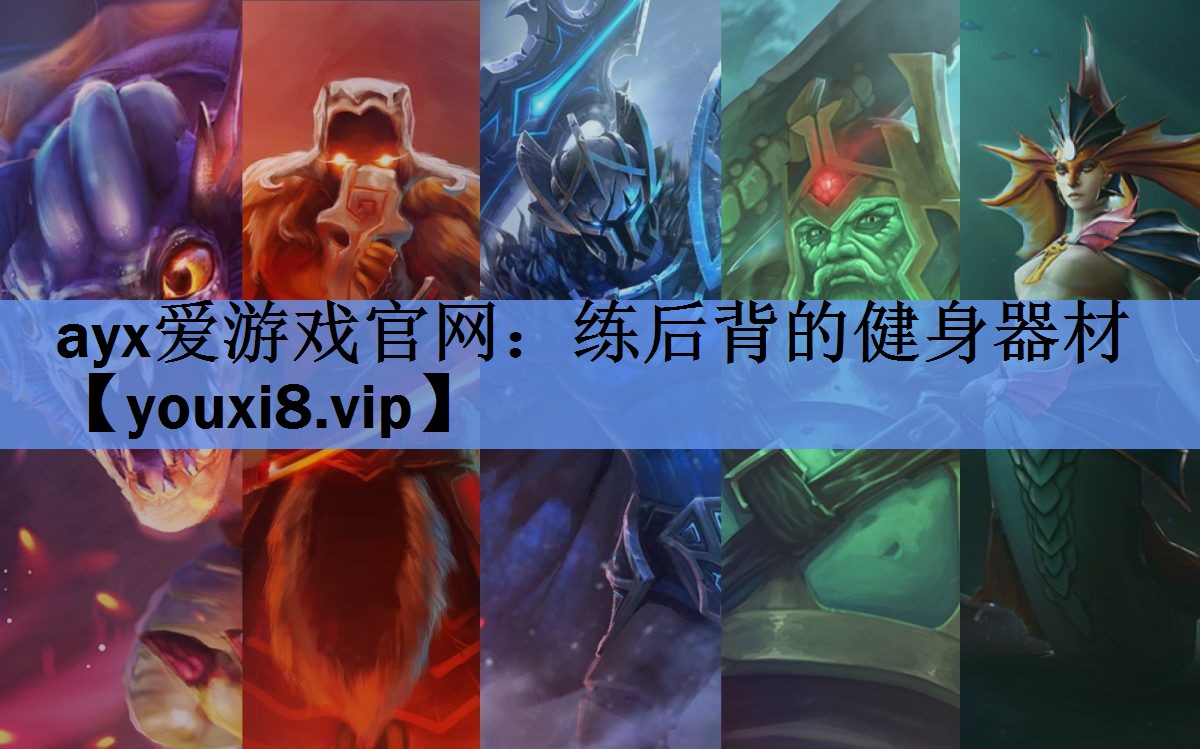 ayx爱游戏官网：练后背的健身器材