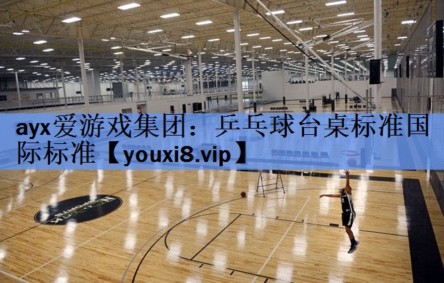 乒乓球台桌标准国际标准 乒乓球台桌标准国际标准
