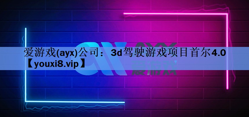 3d驾驶游戏项目首尔4.0 3d驾驶游戏项目首尔4.0