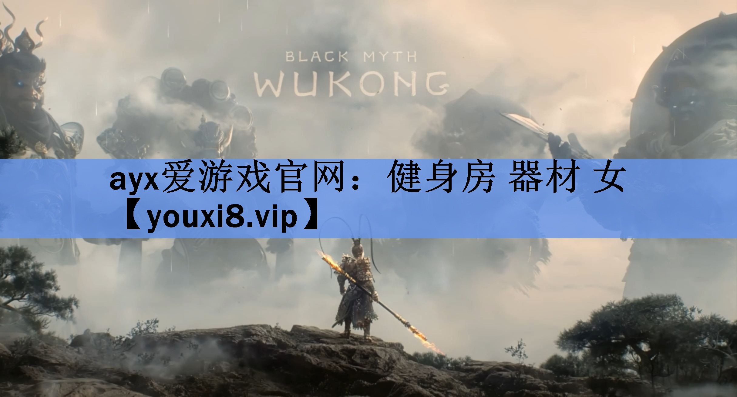 健身房 器材 女 健身房 器材 女